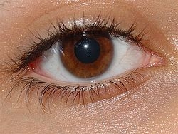 Повязку на глаз накладывают при конъюнктивите